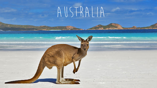 9 مورد از حیات وحش عجیب و شگفت انگیز استرالیا